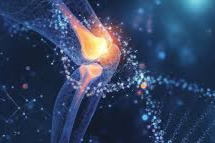 Liječenje reumatološkog bolesnika biološkom terapijom  „Pro et Contra“  10.- 11. travnja 2026.