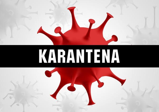 Kako se nositi sa izolacijom /karantenom?