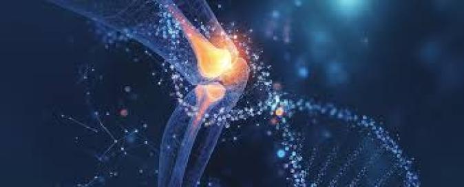 Liječenje reumatološkog bolesnika biološkom terapijom  „Pro et Contra“  10.- 11. travnja 2026.