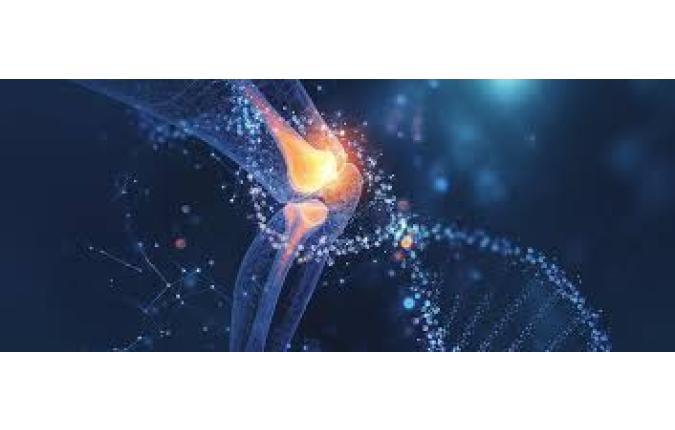 Liječenje reumatološkog bolesnika biološkom terapijom  „Pro et Contra“  10.- 11. travnja 2026.