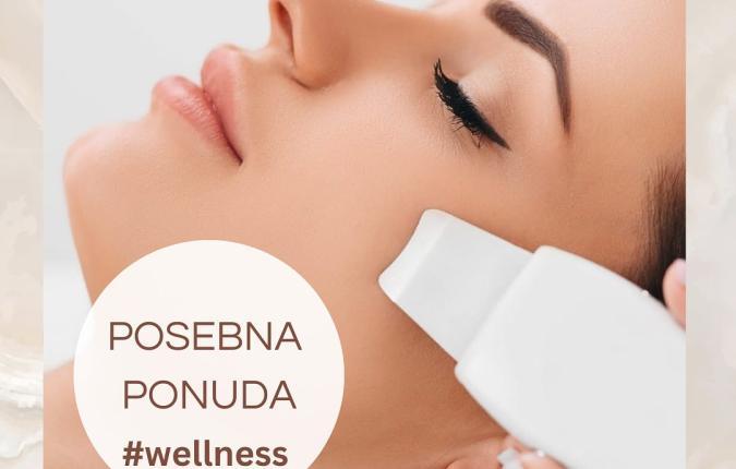 Wellness ponuda