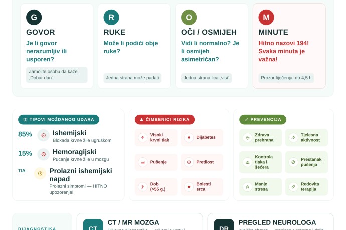 Svjetski dan moždanog udara ( 29. listopada 2026.)