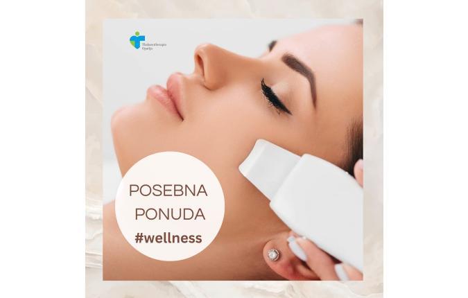 Wellness ponuda